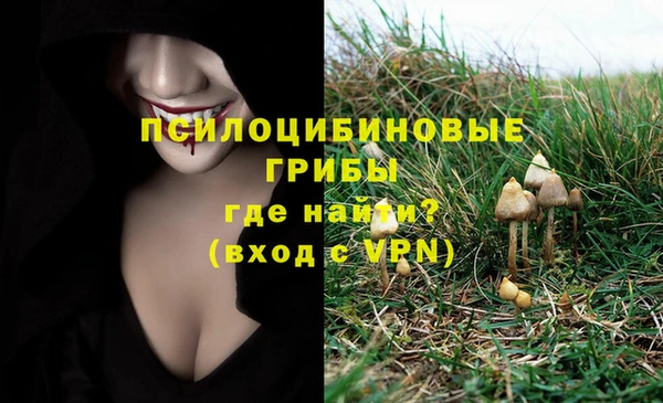 МДПВ Алексеевка
